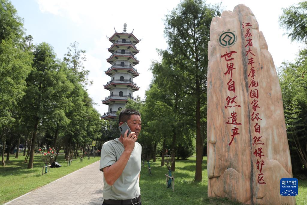 12博登陆